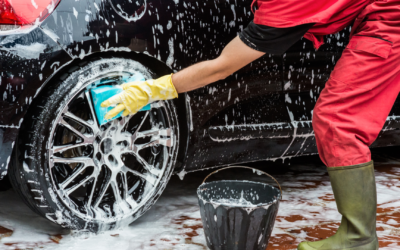 The Ultimate Joy of Washing Your Car and Dog Together