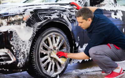 Two Birds, One Sudsy Stone Efficient Car and Dog Wash Tips