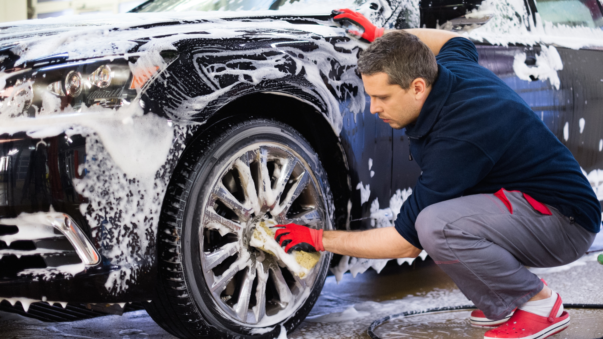 Two Birds, One Sudsy Stone Efficient Car and Dog Wash Tips