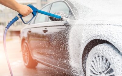 8 Reasons to Use Our Self-Service Car and Dog Wash Stations