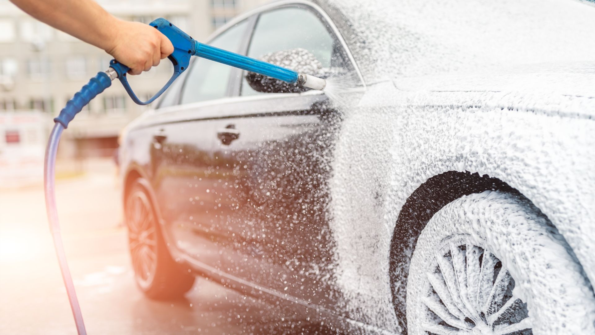 8 Reasons to Use Self-Service Car and Dog Wash Stations